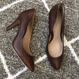 Mossimo Dutti Brown Leather Snake Pumps
